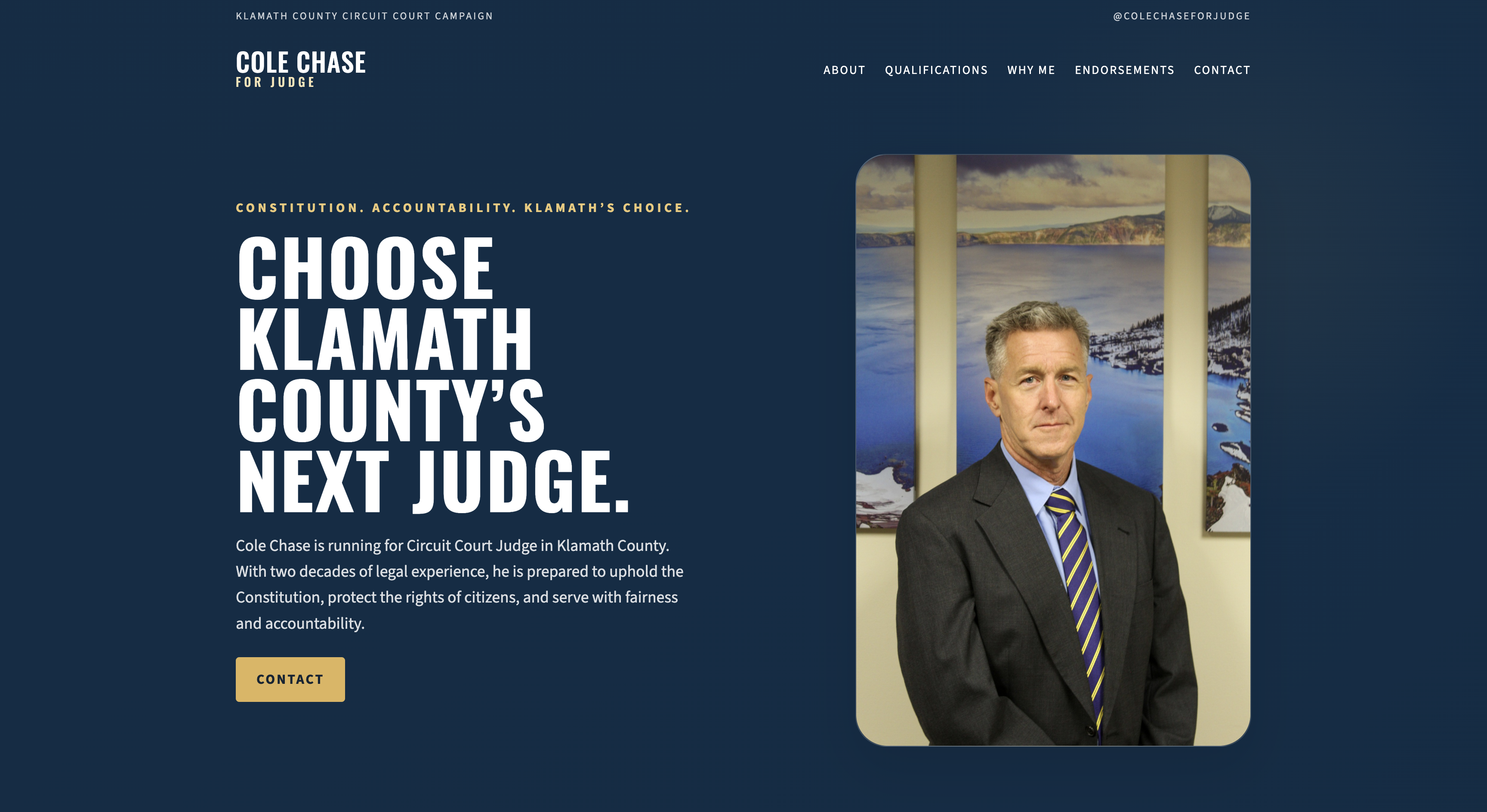 Judicial campaign website demo preview
