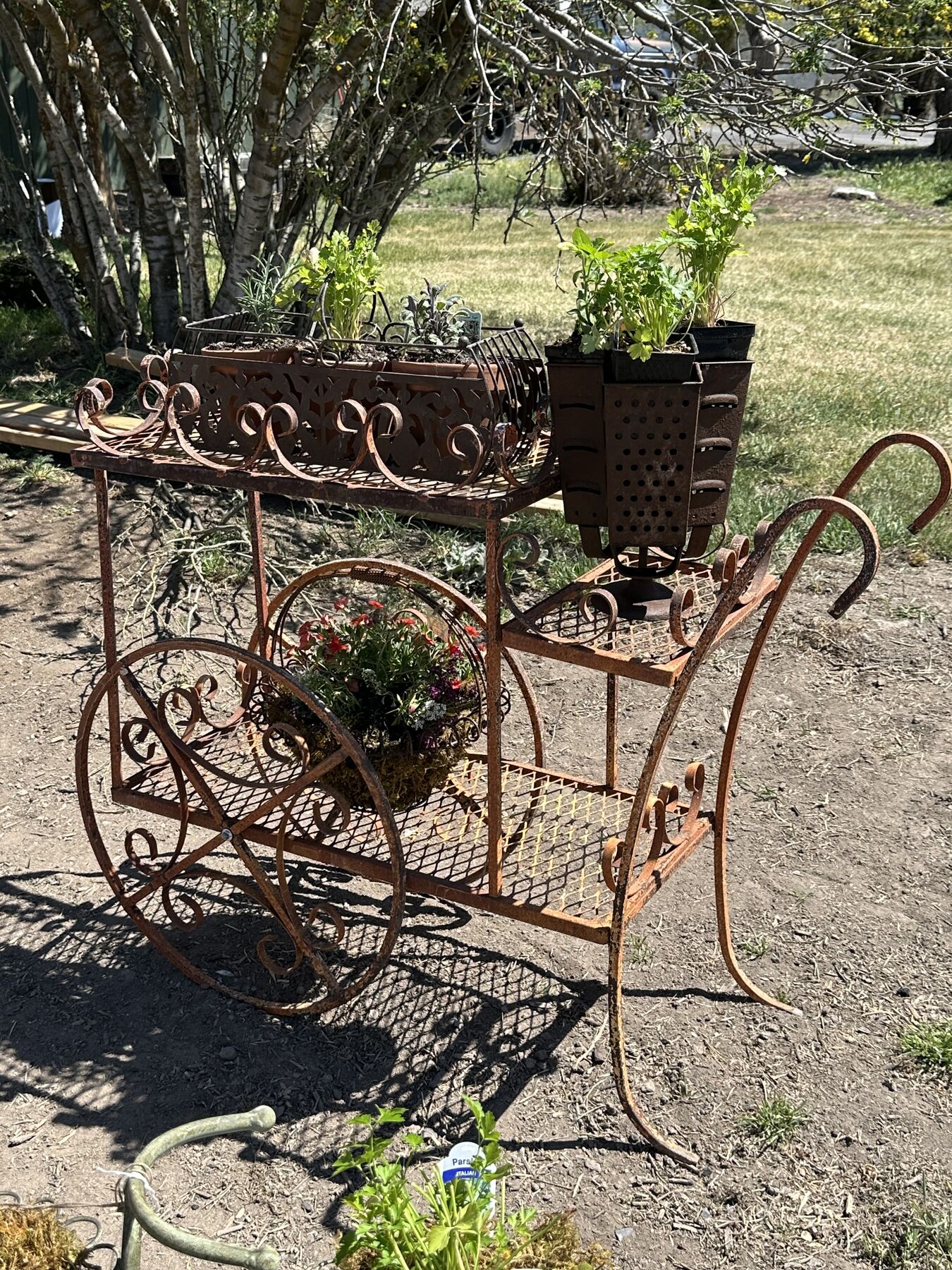 An antique iron garden cart planted with seasonal herbs and flowers