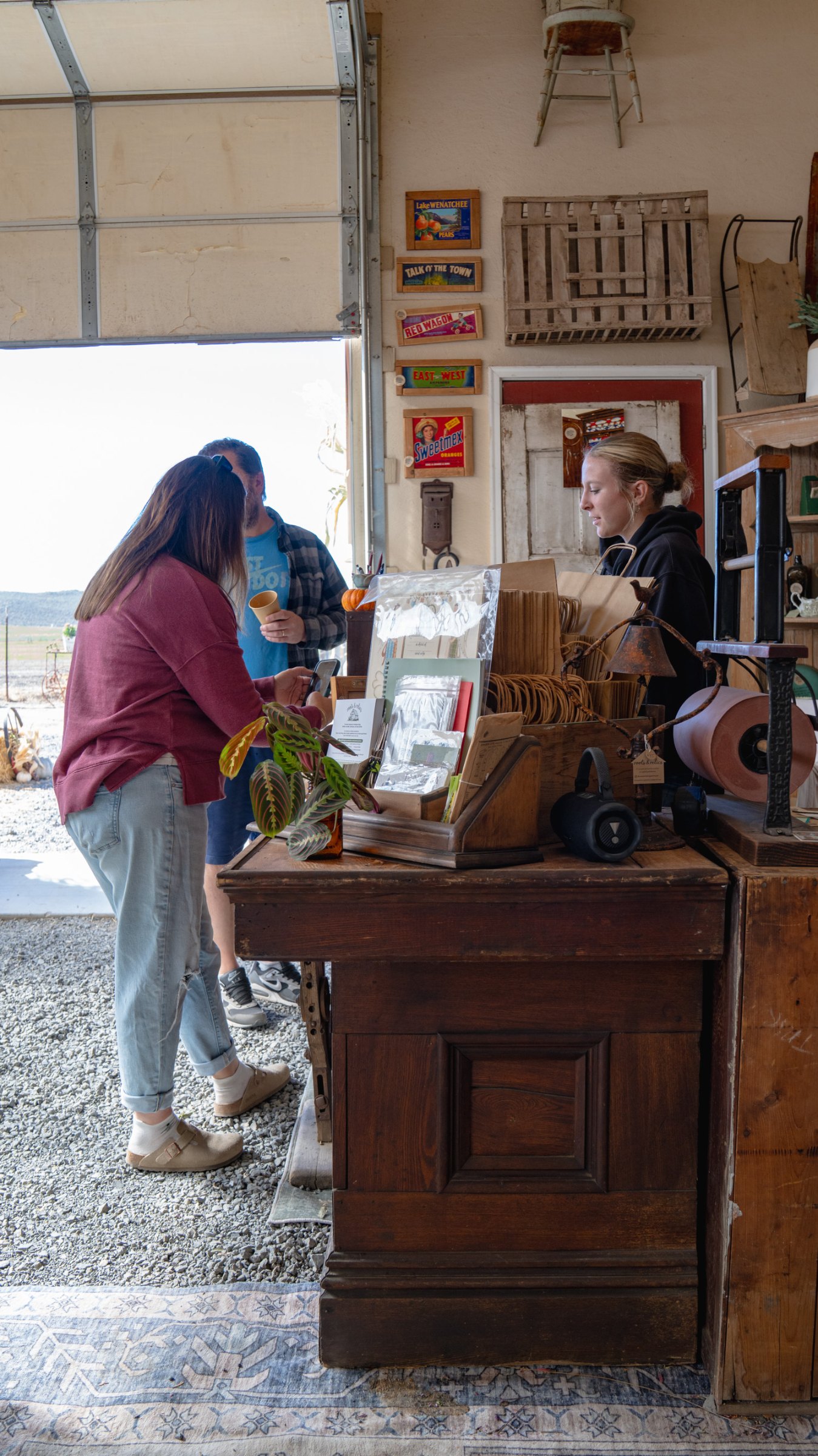 Visitor examining a display near the greenhouse doorway