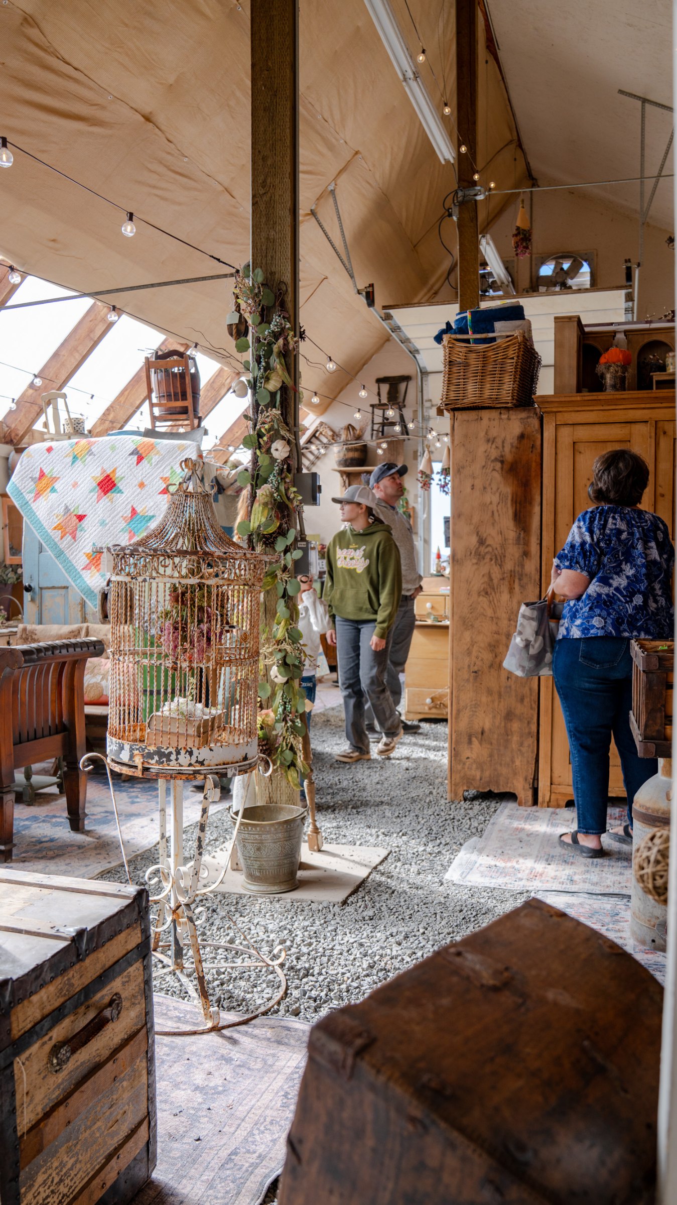 Antique trunk and furniture along a greenhouse aisle