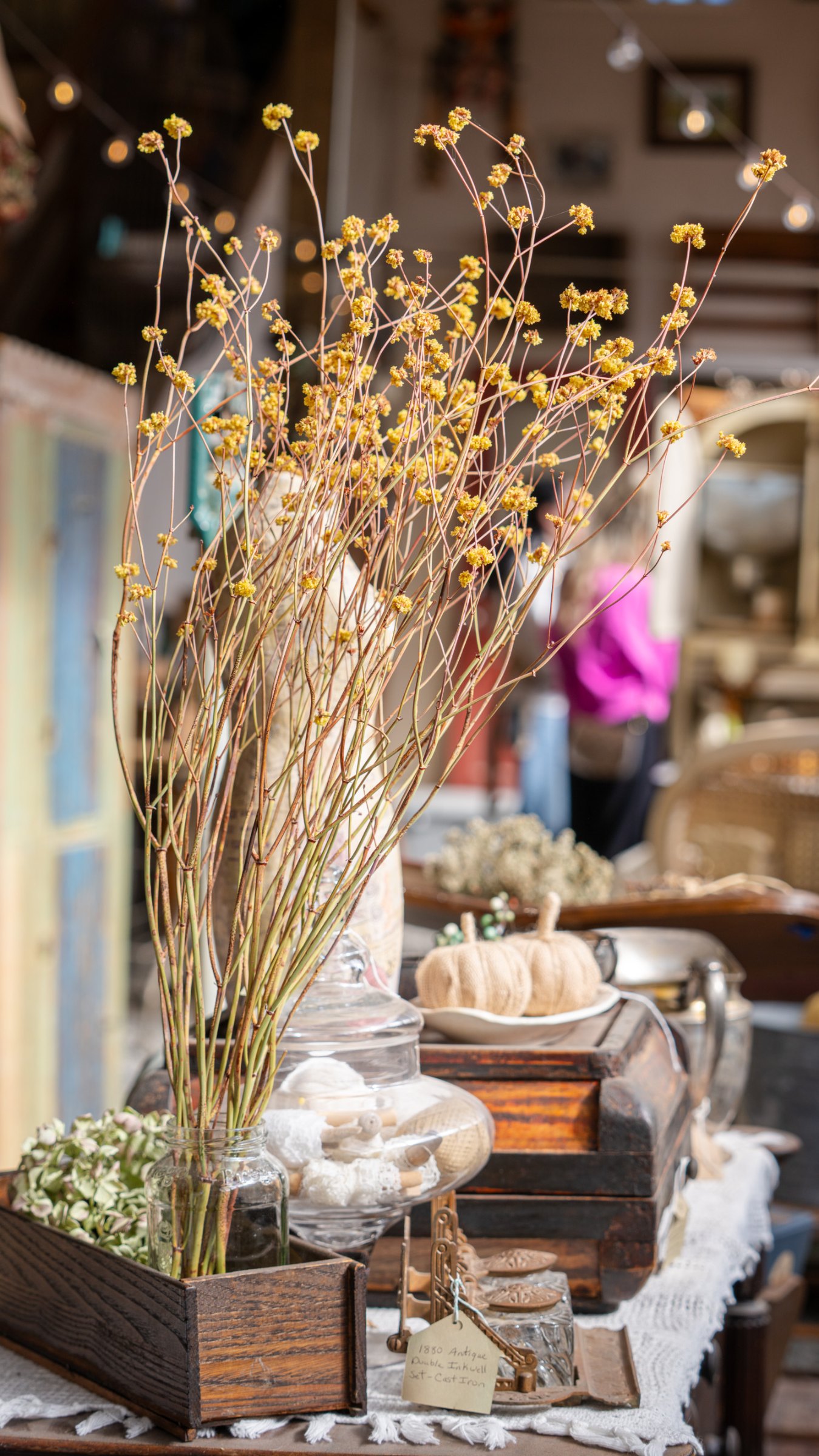 Dried botanicals, glassware, and stacked vintage suitcases