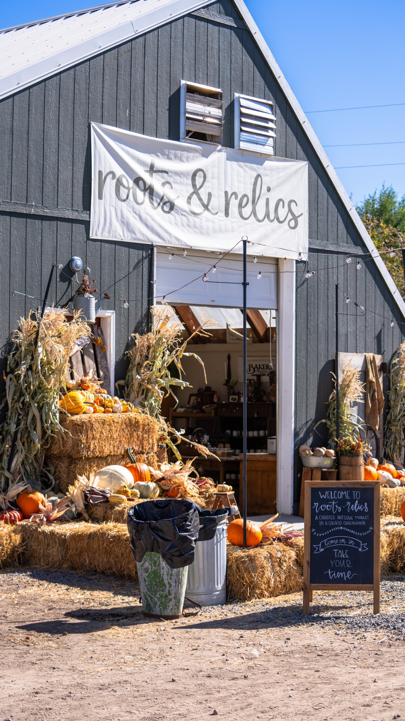 Roots & Relics entrance decorated for autumn