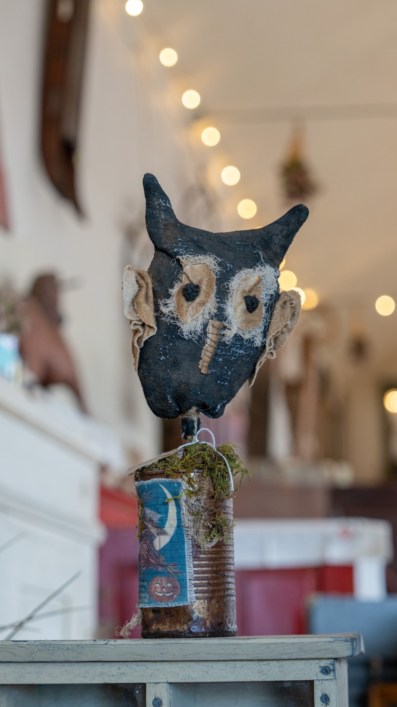Decorative black cat among vintage display pieces