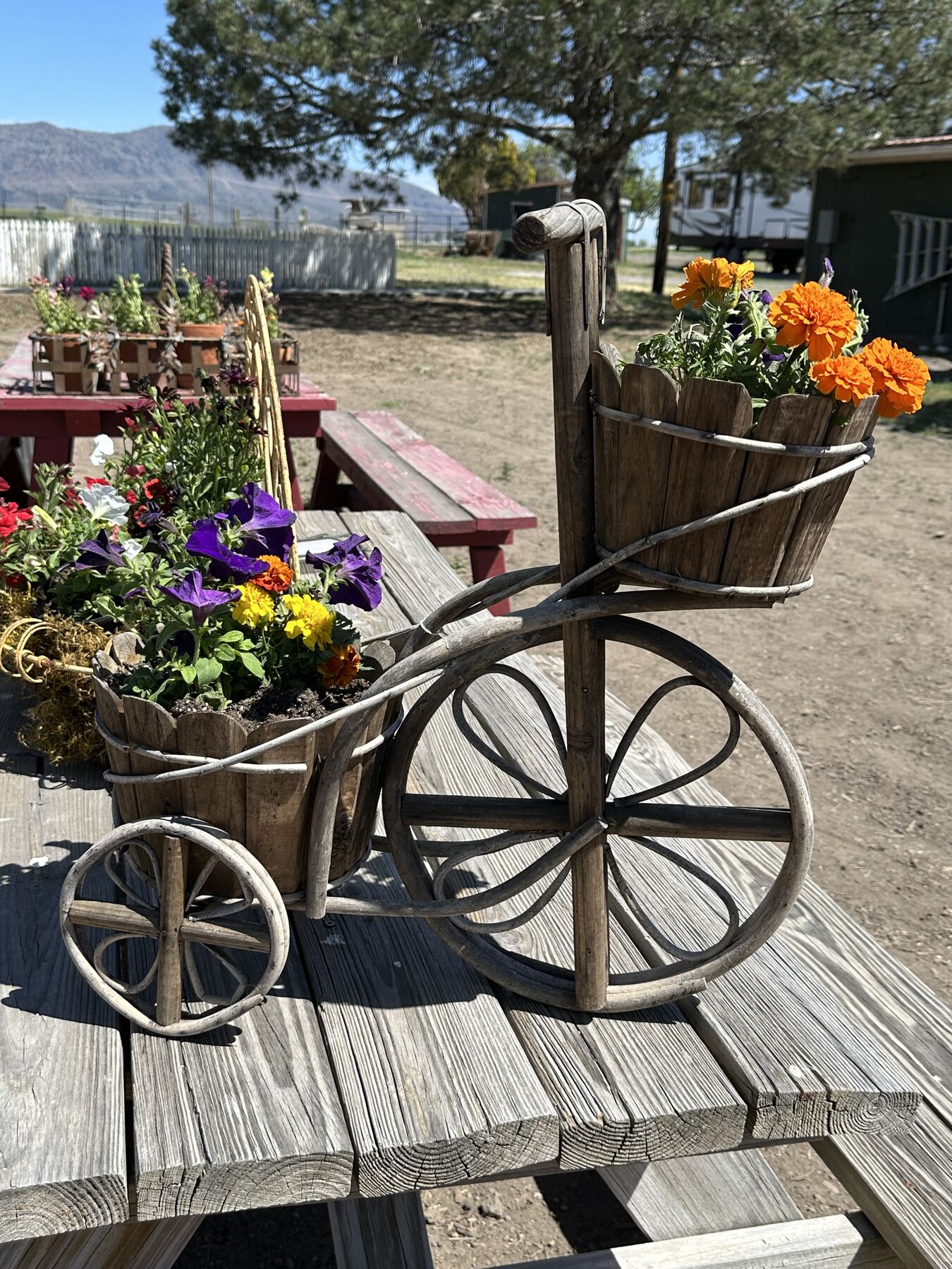 Garden antiques and a cart filled with flowers