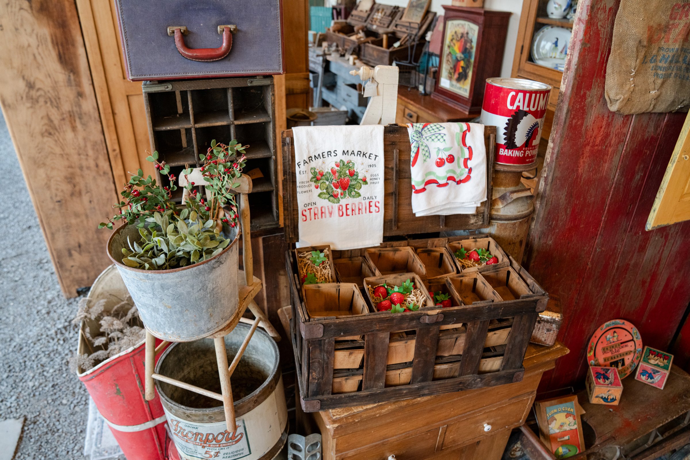 Roots and Relics greenhouse, photo 33