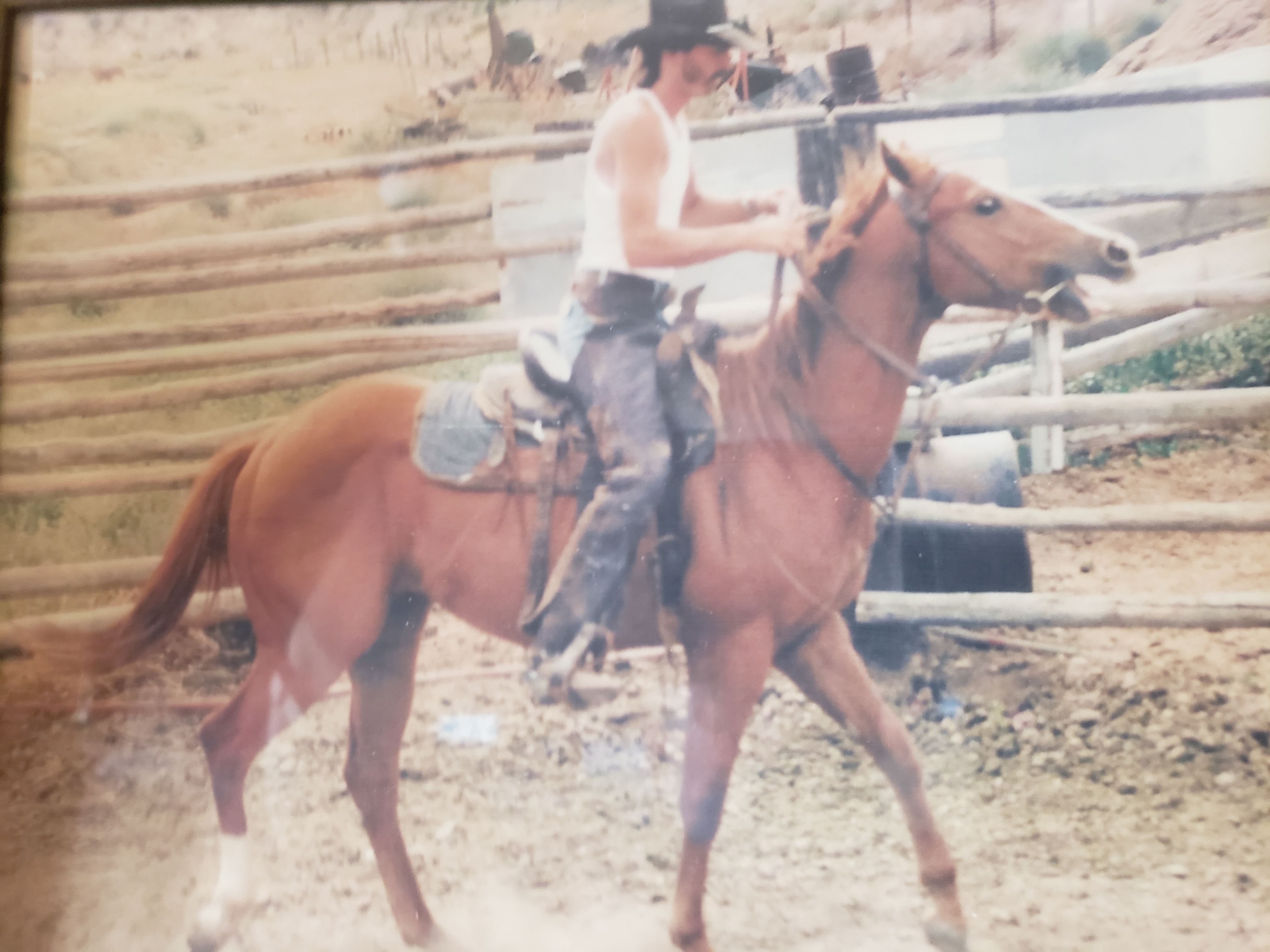 Dave Wilson riding a horse during his rodeo days